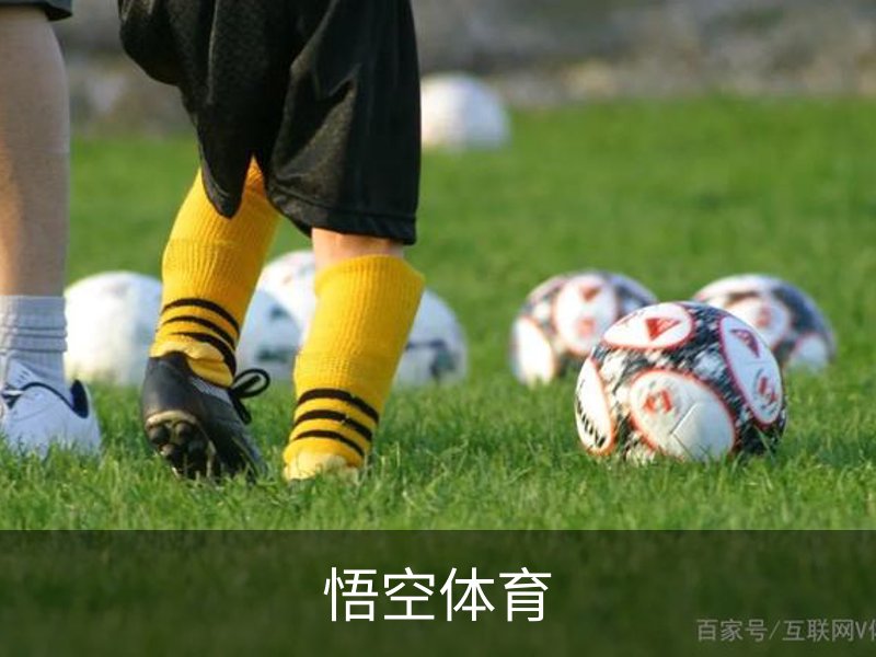 悟空体育简介
